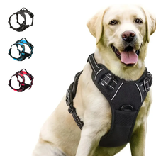 Lade das Bild in den Galerie-Viewer, Anti-Zieh Hundegeschirr am Labrador, schwarz reflektierend, mit Farbvarianten Blau und Rot