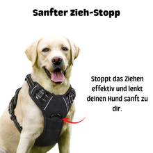 Lade das Bild in den Galerie-Viewer, Hundegeschirr mit sanftem Zieh-Stopp-Mechanismus, Labrador, Farbe Schwarz