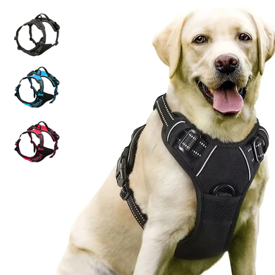 Anti-Zieh Hundegeschirr am Labrador, schwarz reflektierend, mit Farbvarianten Blau und Rot
