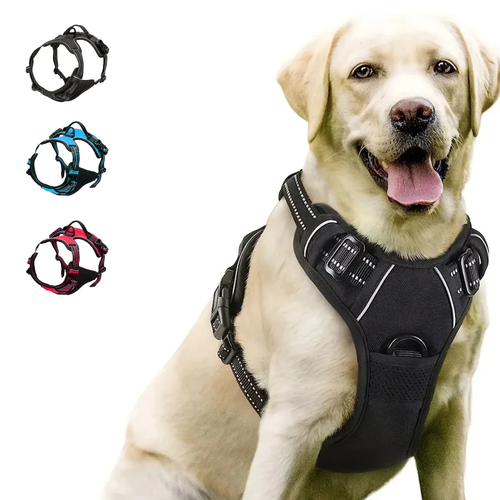 Anti-Zieh Hundegeschirr am Labrador, schwarz reflektierend, mit Farbvarianten Blau und Rot